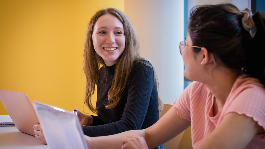 Webster undergraduate students.