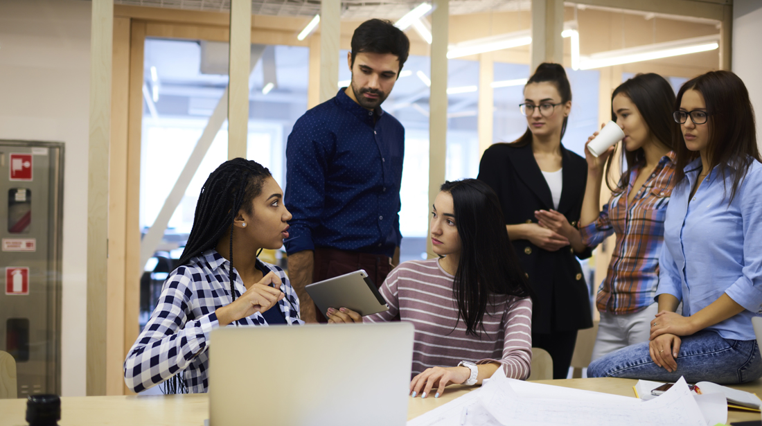 Старшая школа в америке. Стартап проекты для студентов. Группа студентов. The students are planning to. Преподаватель архитектуры.