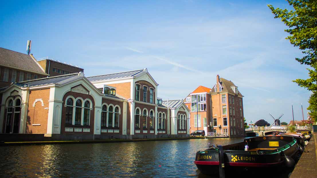 Webster University in Leiden