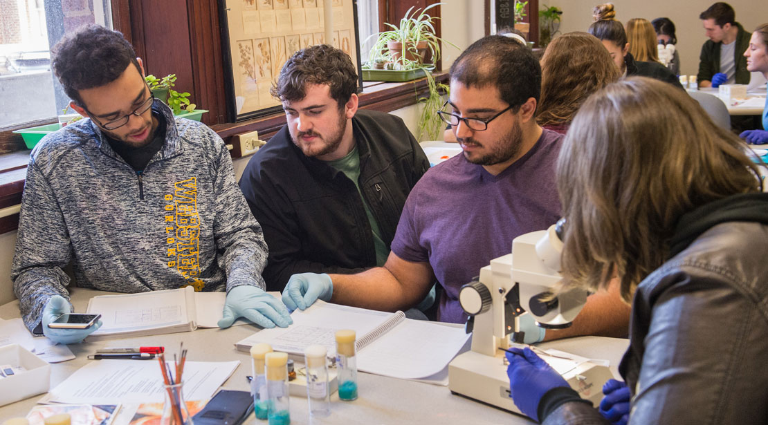 Four Webster students reviewing results.