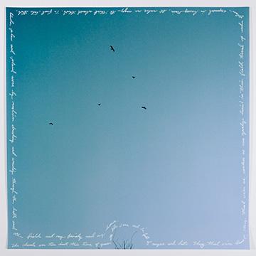A solid gradient blue background with five small birds in flight scattered across the center, framed by cursive handwriting along the borders and lower edge.
