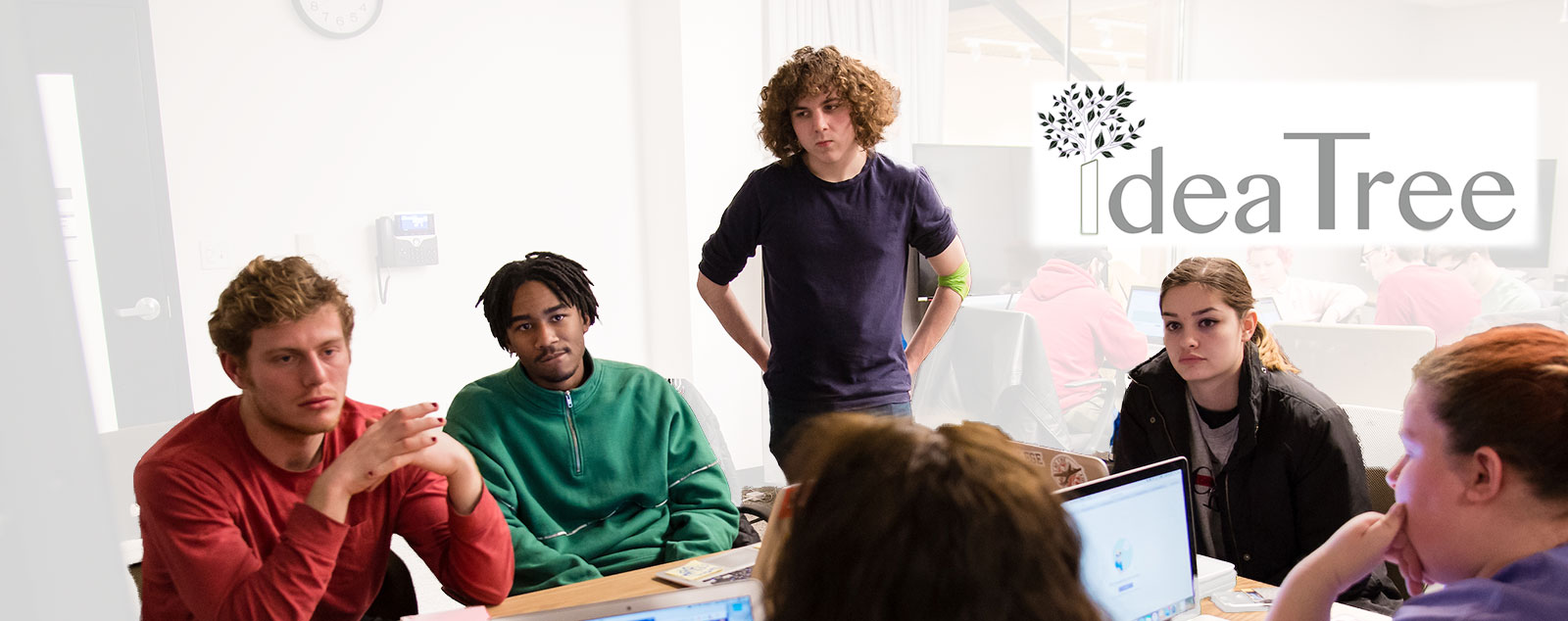 Idea Tree Media and Communications | Webster University
