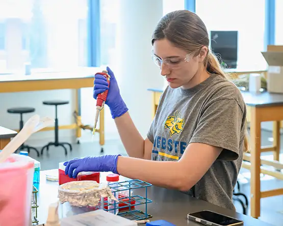 Nursing student working in the lab while wearing a Webster T-shirt.